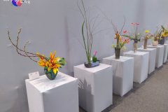 IMG_20250712_182323020_AE
