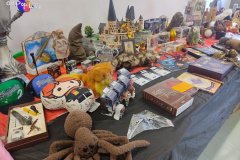 IMG_20260807_153216893-1